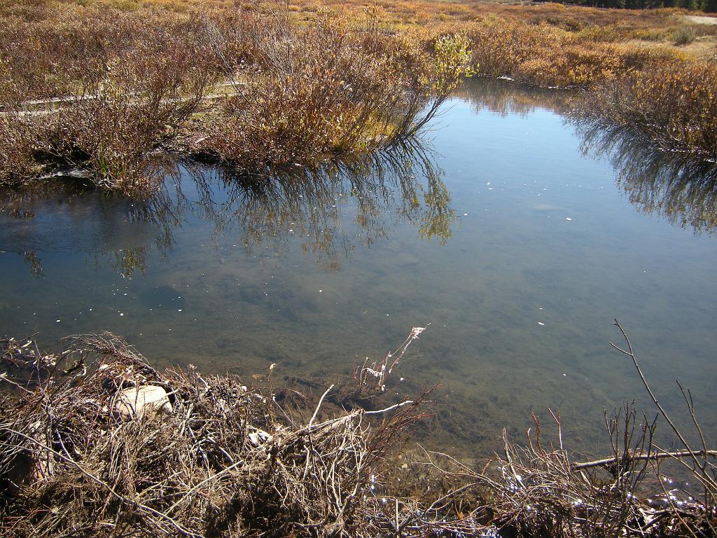 fall09 050